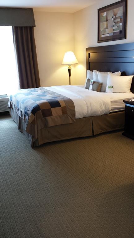 Wingate By Wyndham 3* LaGrange